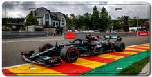 Load image into Gallery viewer, Formula F1 Decorative License Plate FREE Shipping Worldwide!!