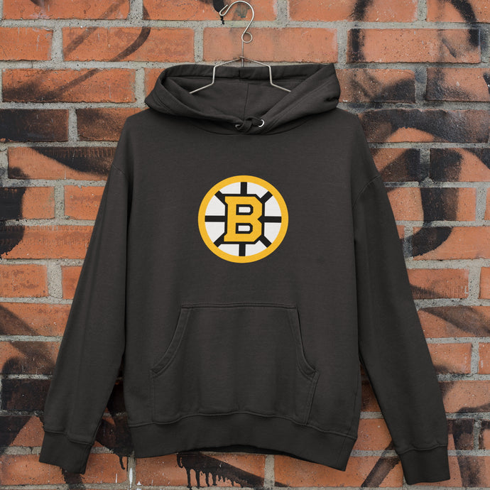 Boston Bruins NHL Hoodie Sweatshirt FREE Shipping Worldwide!!
