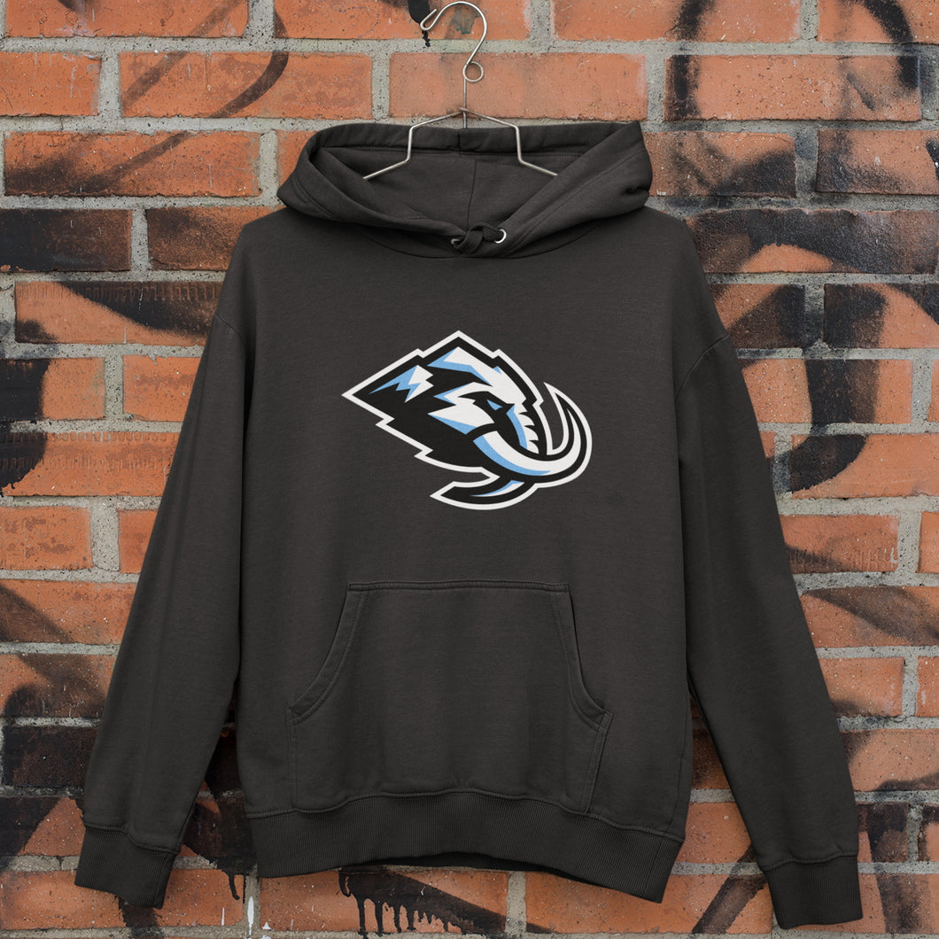 Sweat à capuche Lexus Livraison GRATUITE dans le monde entier !!