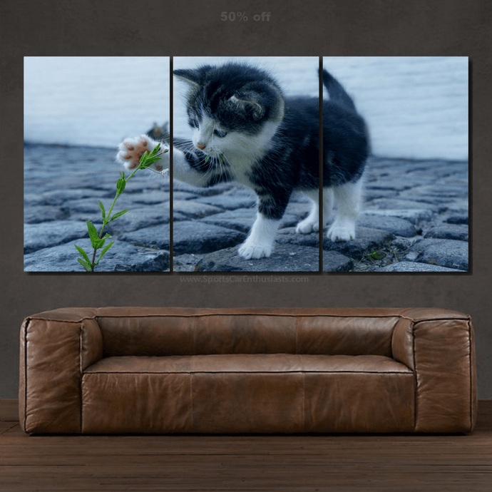 Three-piece canvas wall art of a playful kitten reaching for a plant above a cobblestone surface above a brown leather sofa, Canvas 3pcs FREE Shipping