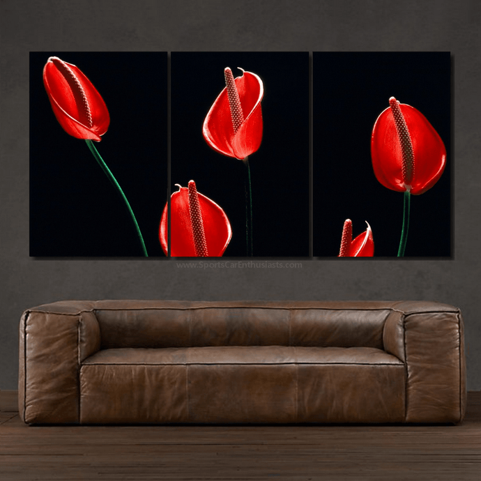 Three-piece canvas wall art set featuring close-up red flowers on black background above a brown leather sofa, Canvas 3pcs FREE Shipping.