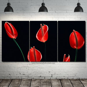 Canvas 3pcs FREE Shipping Worldwide!! - Sports Car Enthusiasts